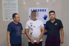 湾里融资清欠服务